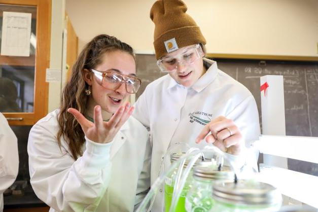 学生们在实验室里用装满亮绿色液体的罐子工作